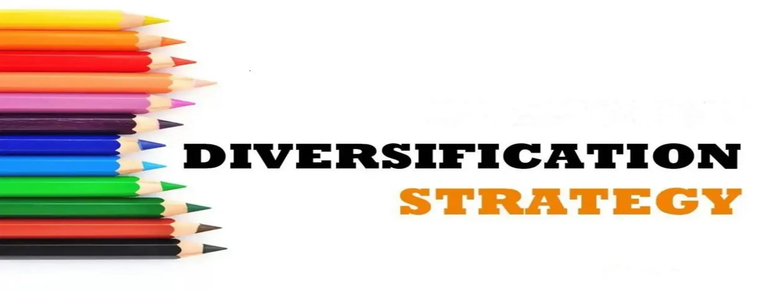 Image for Diversification Strategy